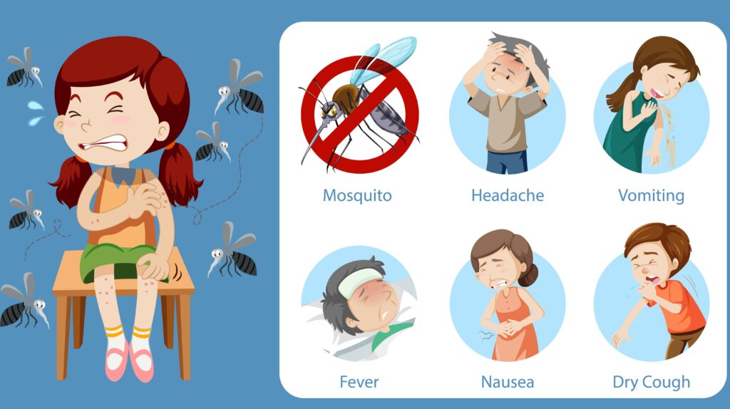 Dengue fever, symptoms