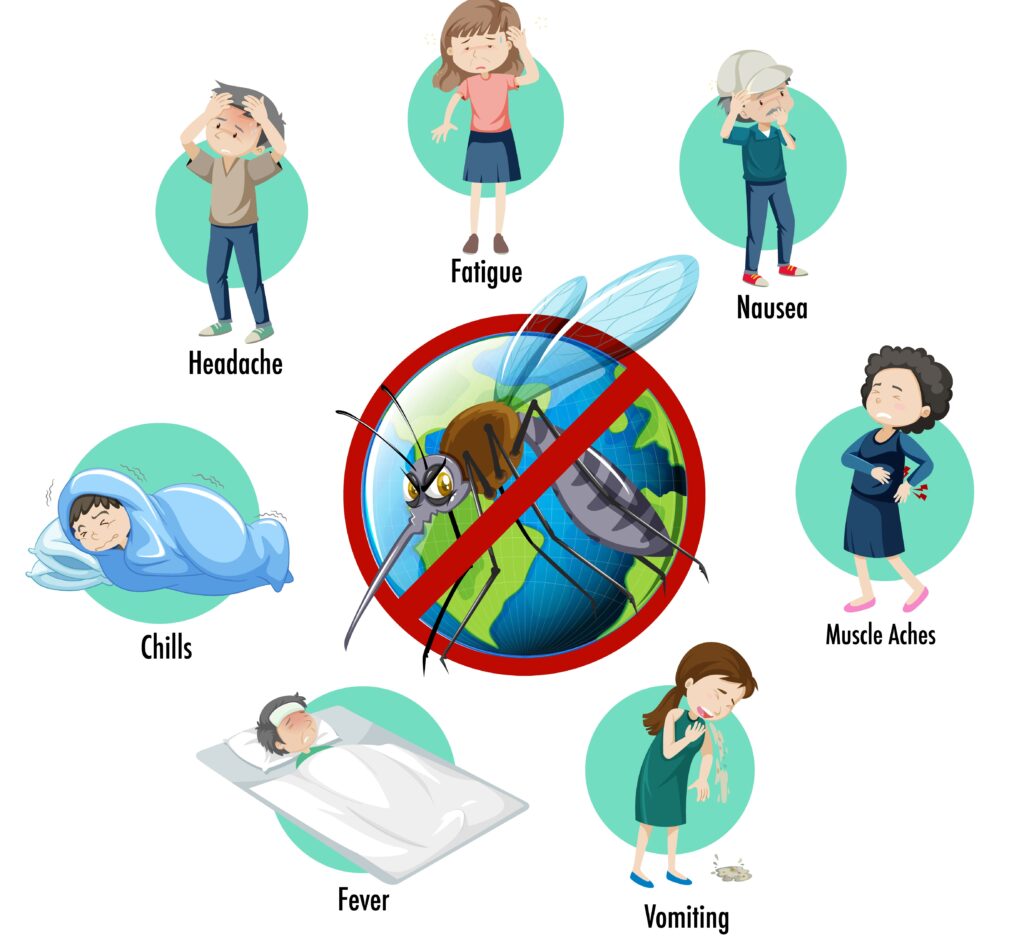 Dengue fever, symptoms