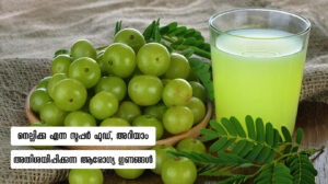 Health Benefits Of Amla
