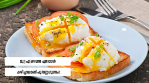 Health Benefits of Eggs