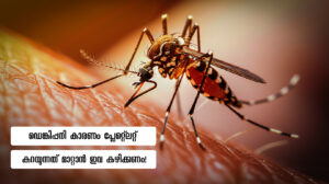 How to Increase Platelet Count in Dengue?