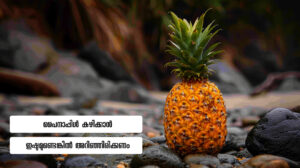 Pineapple: Benefits, and Risks