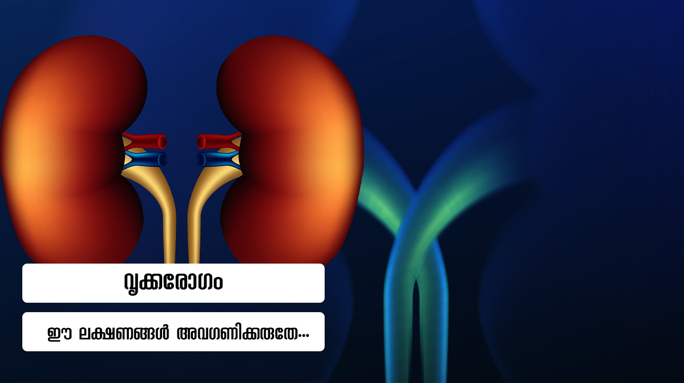 വൃക്കരോഗം : ഈ ലക്ഷണങ്ങൾ അവഗണിക്കരുതേ…(Kidney Disease Symptoms)