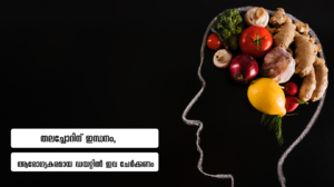 5 foods to boost brain function