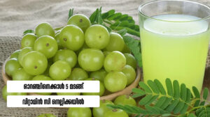 Health Benefits of Gooseberries