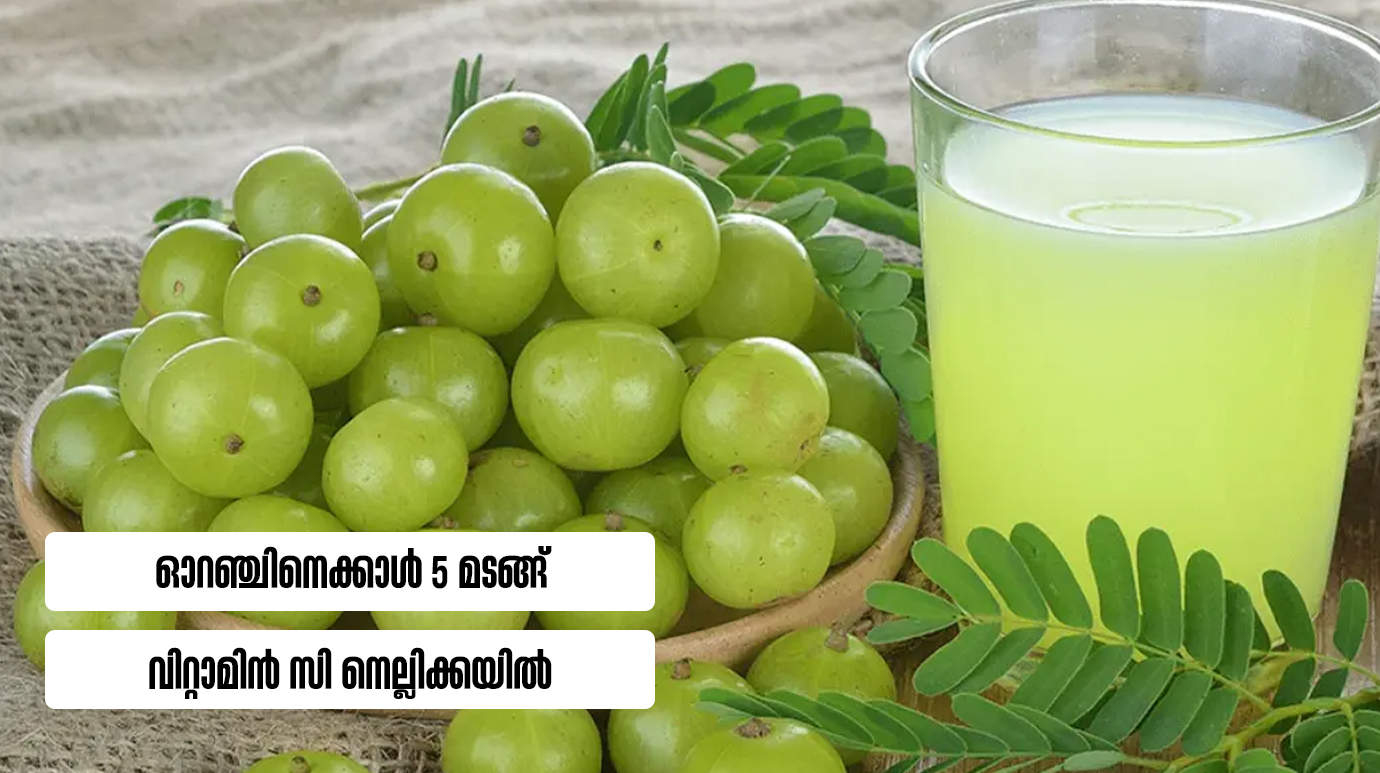 ഓറഞ്ചിനെക്കാൾ 5 മടങ്ങ് വിറ്റാമിൻ സി നെല്ലിക്കയിൽ(Health Benefits of Gooseberries)