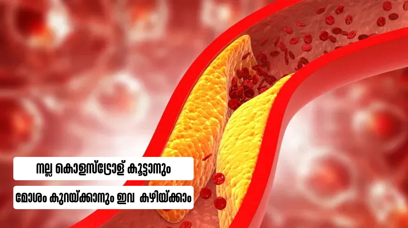 നല്ല കൊളസ്‌ട്രോള്‍ കൂട്ടാനും മോശം കുറയ്ക്കാനും ഇവ കഴിയ്ക്കാം(4 Foods to Lower Cholesterol)