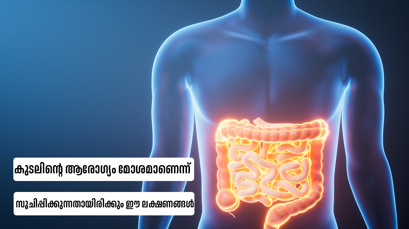 Signs You Have an Unhealthy Gut