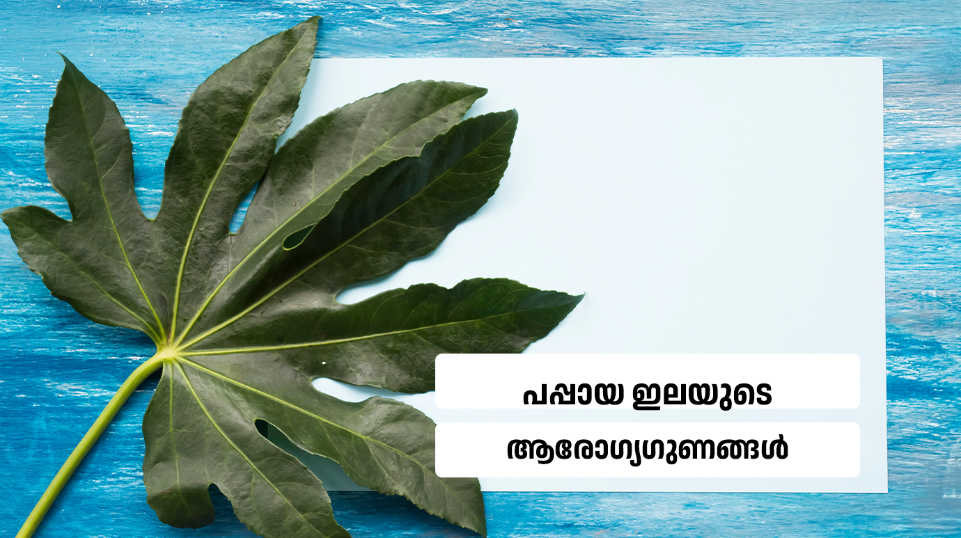 Papaya leaf benefits