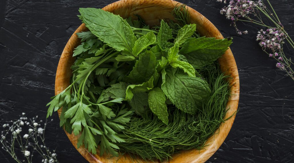 how to remove flies from home