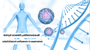 Winter immunity boosting foods