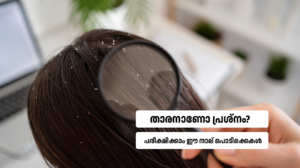 Natural powders for dandruff