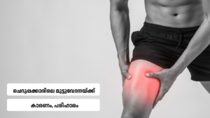 knee pain causes
