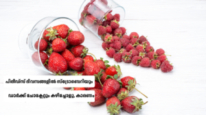 foods to eat during menstruation