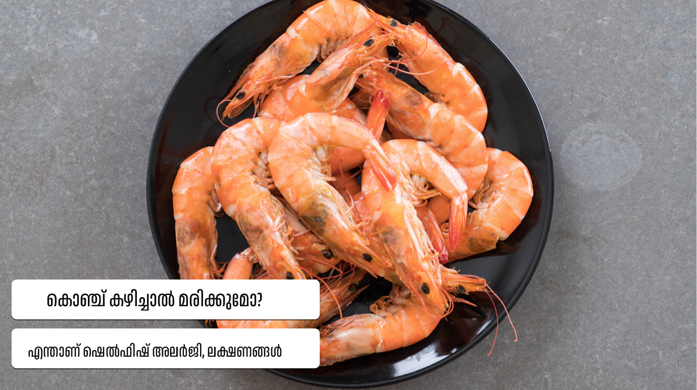 Can you die if you eat shrimp?