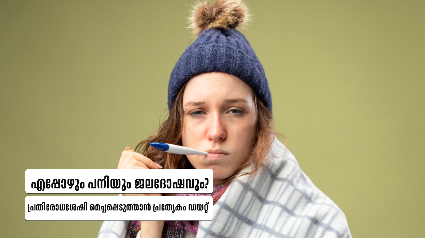 Immunity boosting diet plan