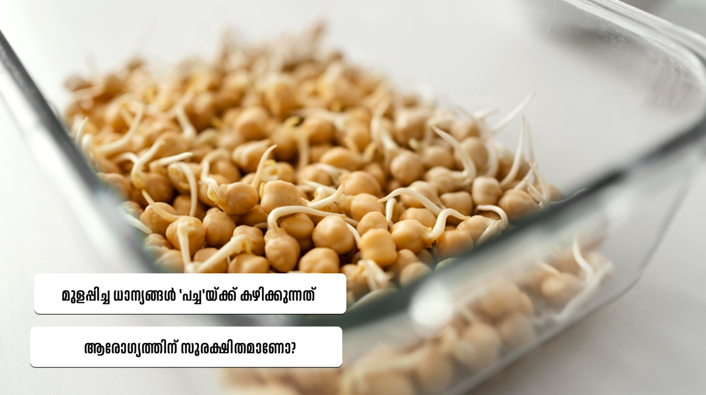 Raw sprouted grains safety