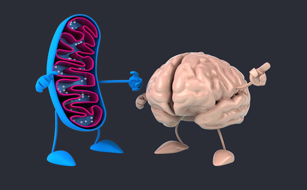 Irritable Bowel Syndrome