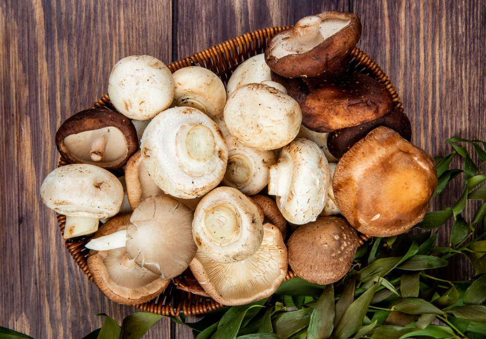 Vitamin D in Mushrooms