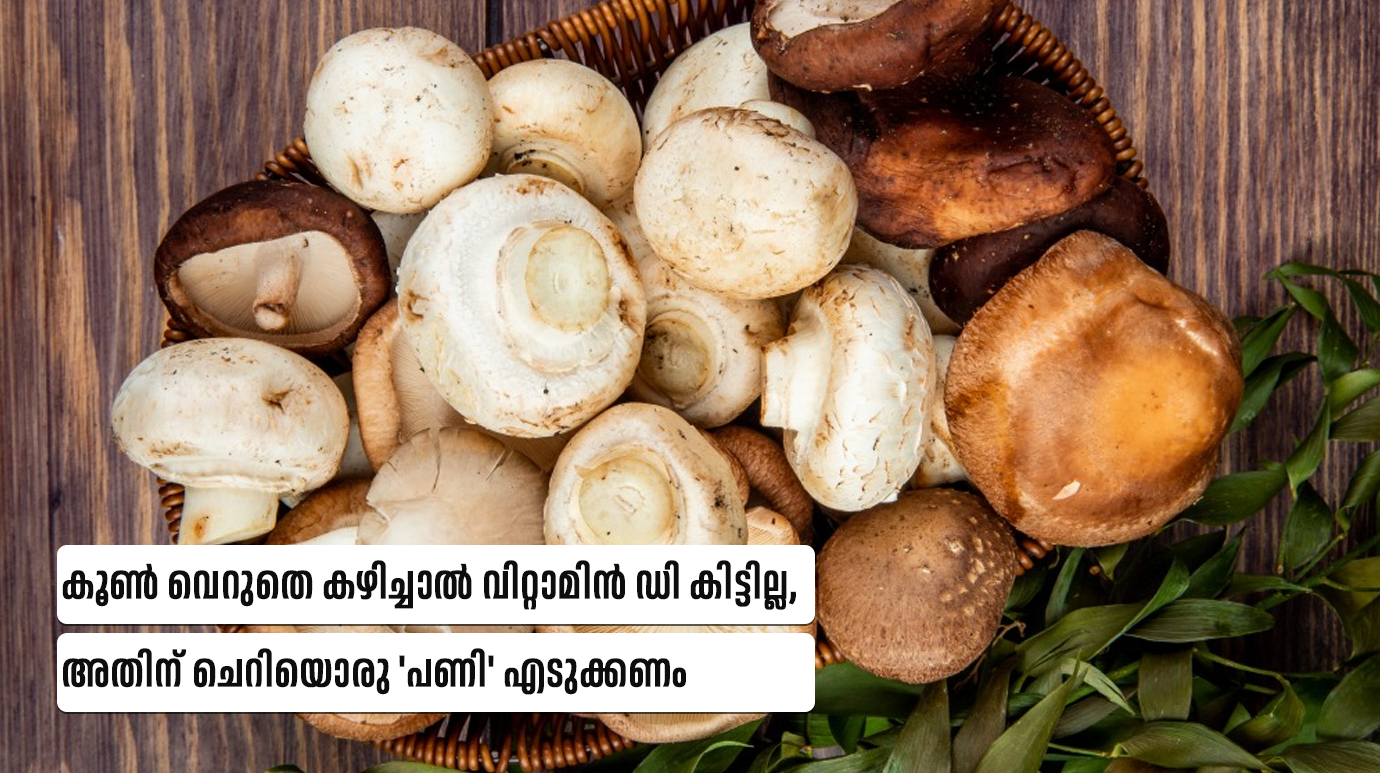 Vitamin D in Mushrooms