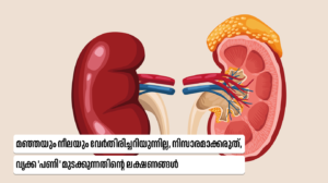Kidney Failure Warning Signs