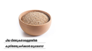 Soaked Chia Seeds Benefits