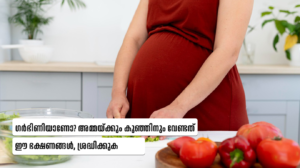 Pregnancy Iron Foods