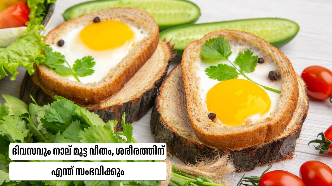 ദിവസവും നാല് മുട്ട വീതം, ശരീരത്തിന് എന്ത് സംഭവിക്കും?(4 Eggs Daily: Good or Bad?)